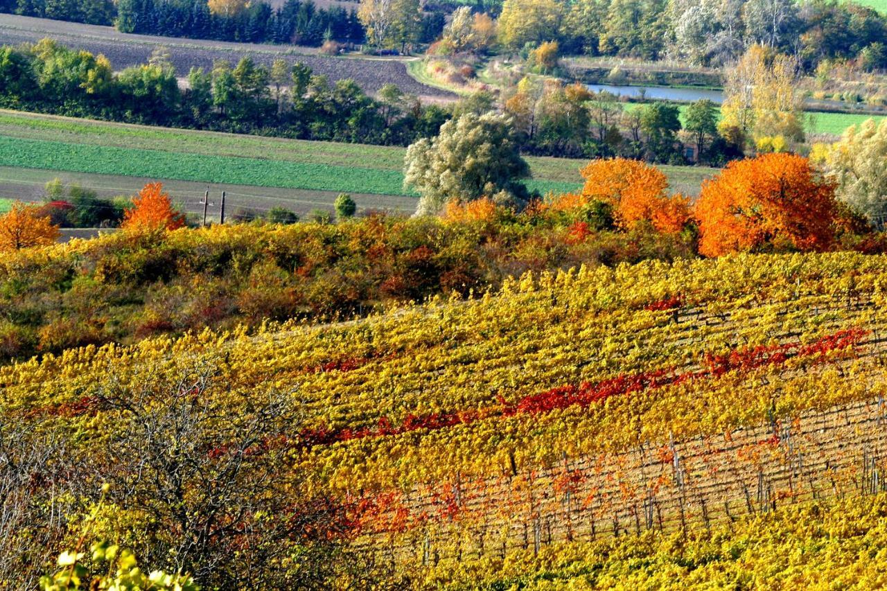 רץ Weingut Breitenfelder מראה חיצוני תמונה