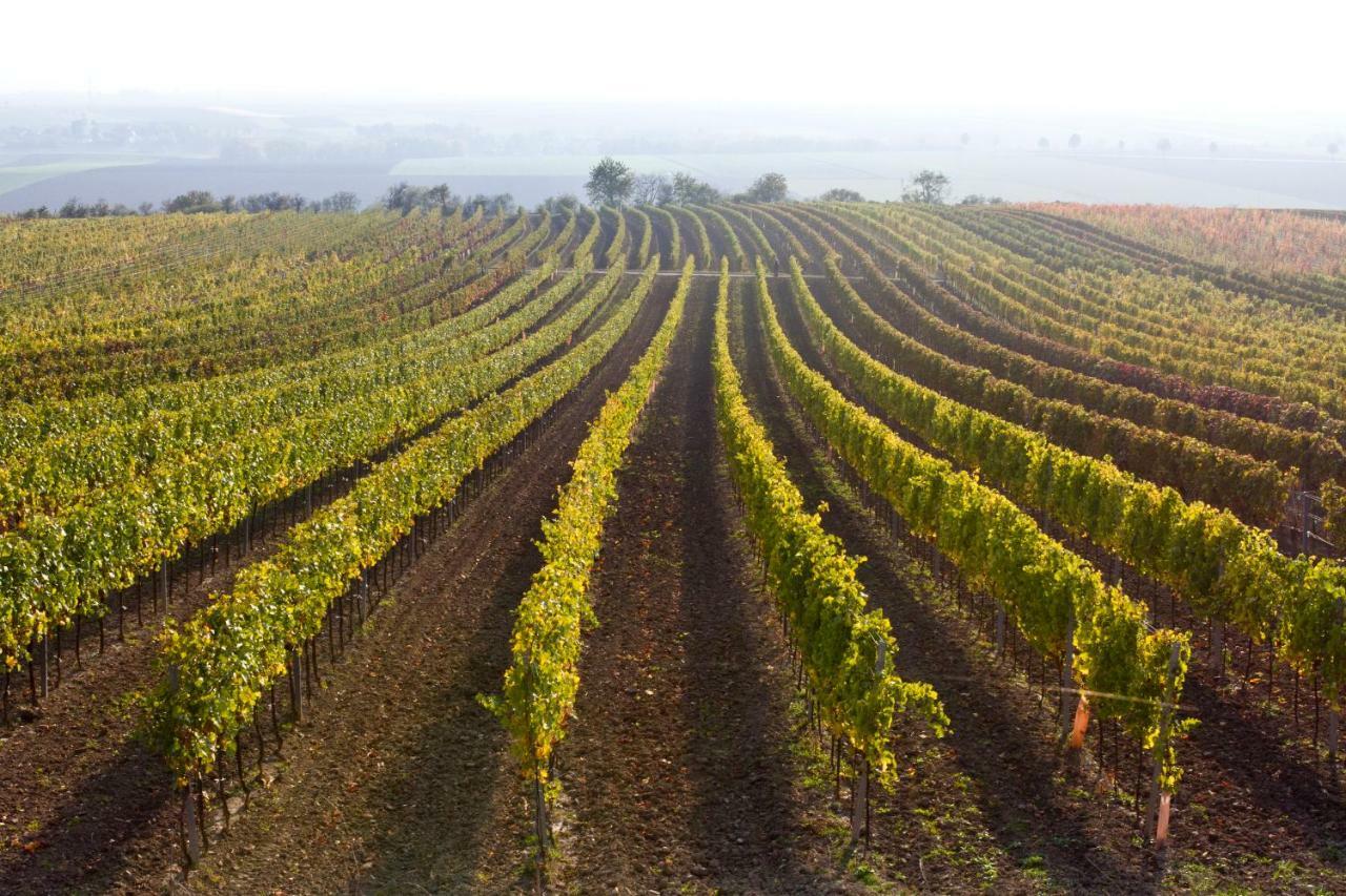 רץ Weingut Breitenfelder מראה חיצוני תמונה